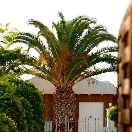 Mediterrane 4* Nea Iraklitsa